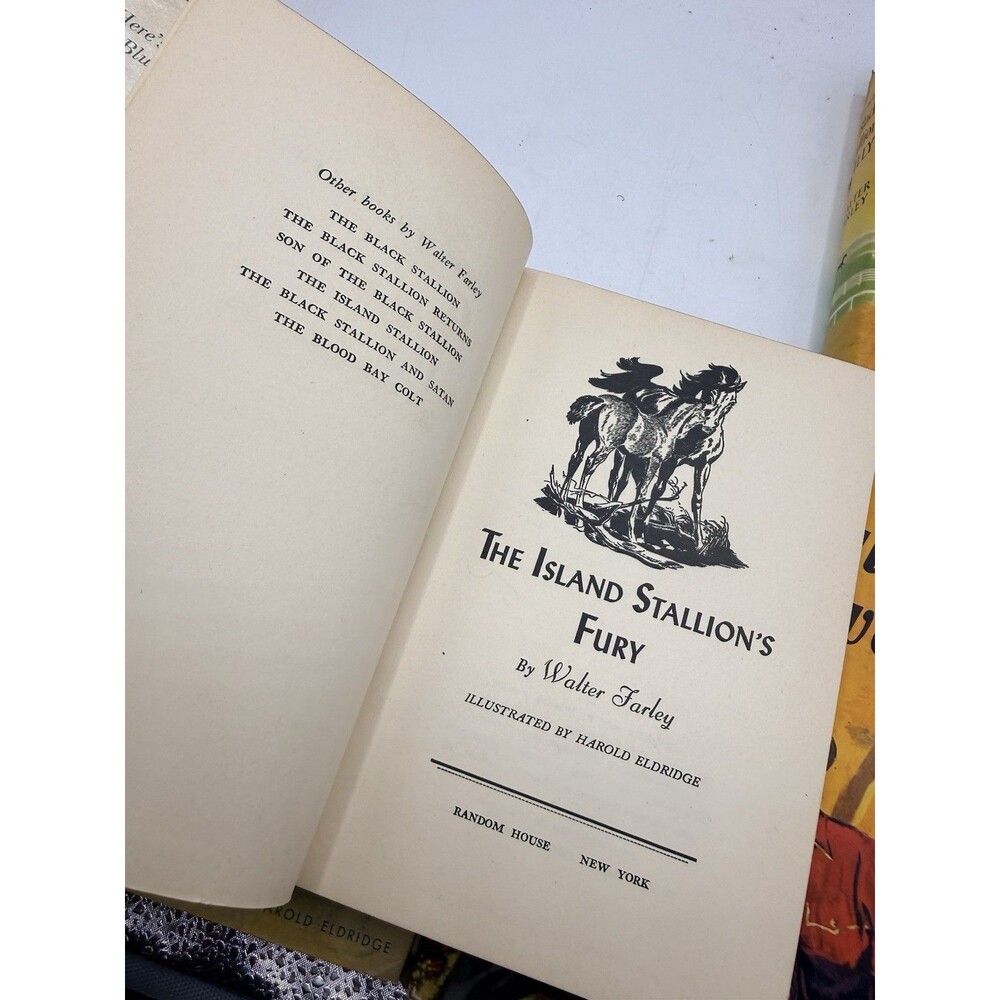 8 : 40s 50s Walter Farley The Black Stallion Novel Book Set Sulky Filly Satan + - Picture 15 of 16